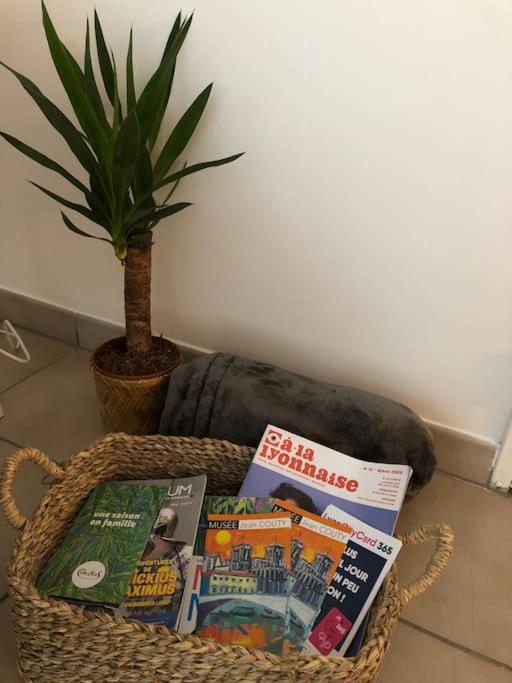 Cosy, Lyon, Avec Garage Prive Apartamento Lyon