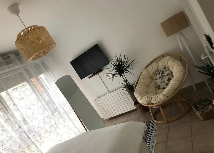 Studio Cosy, Lyon, Avec Garage Prive
